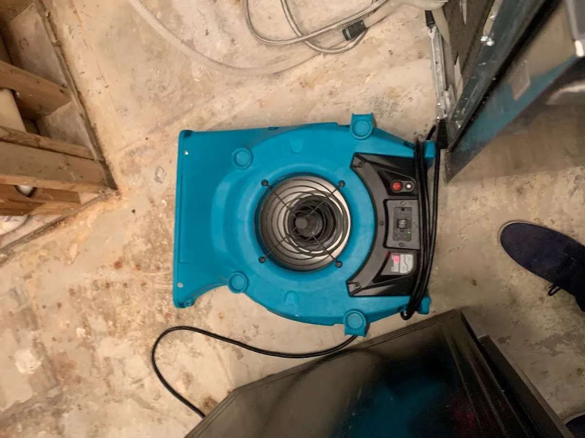 Air mover drying equipment for Mold Remediation & Removal in Greeley